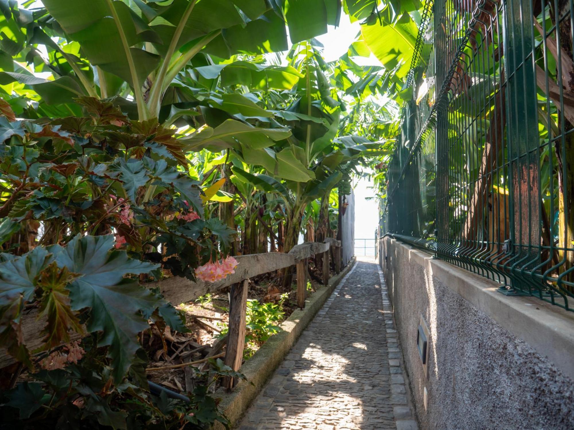 ポンタ・ド・ソル Casa Dos Anjosヴィラ エクステリア 写真